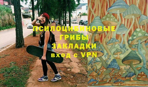 эйфоретик Кинешма