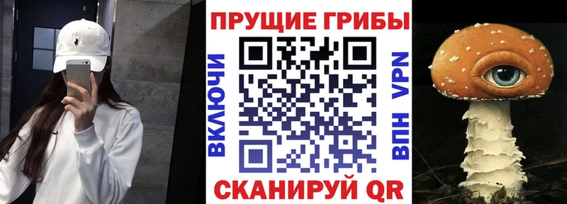 Галлюциногенные грибы Magic Shrooms  Купить  Белый 